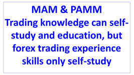 forex trading experience skills only self study en